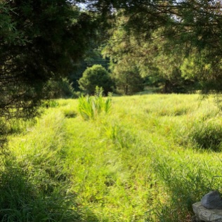 Shepherdstown, WVA. A large grass labyrinth sheltered by trees.